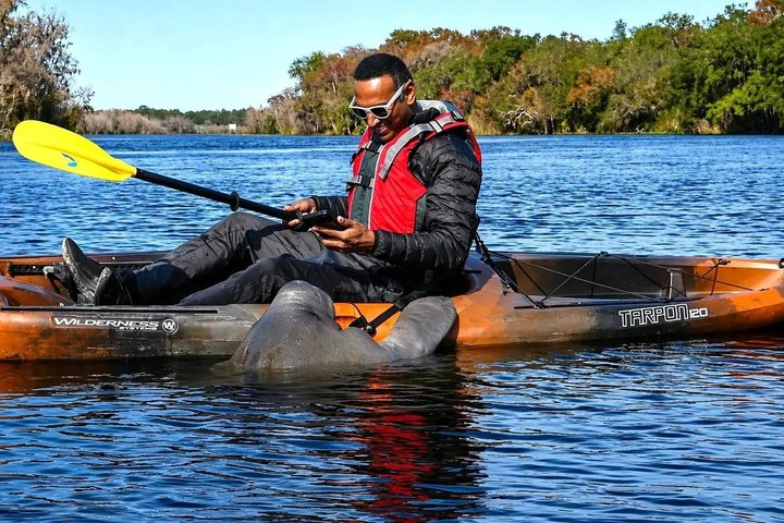 Small Group Manatee Discovery Kayak Tour near Orlando - Photo 1 of 15
